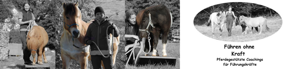 Führen ohne Kraft
